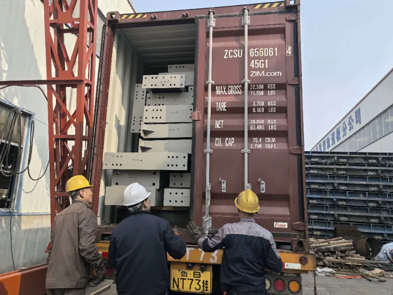 چلی میں بڑے پیمانے پر اسٹیل کے گودام کے منصوبے کے لیے اسٹیل کے ڈھانچے کے اجزاء کامیابی کے ساتھ بھیجے گئے، مقامی لاجسٹک حب کی تعمیر میں معاونت کرتے ہوئے