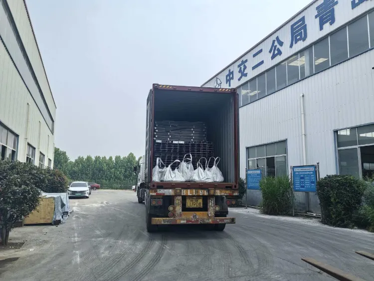 Qingdao Liweiyuan اسٹیل کا ڈھانچہ آئس لینڈ کے کلائنٹ کو فشری فارمز کے لیے اپنی مرضی کے اسٹیل اجزاء فراہم کرتا ہے